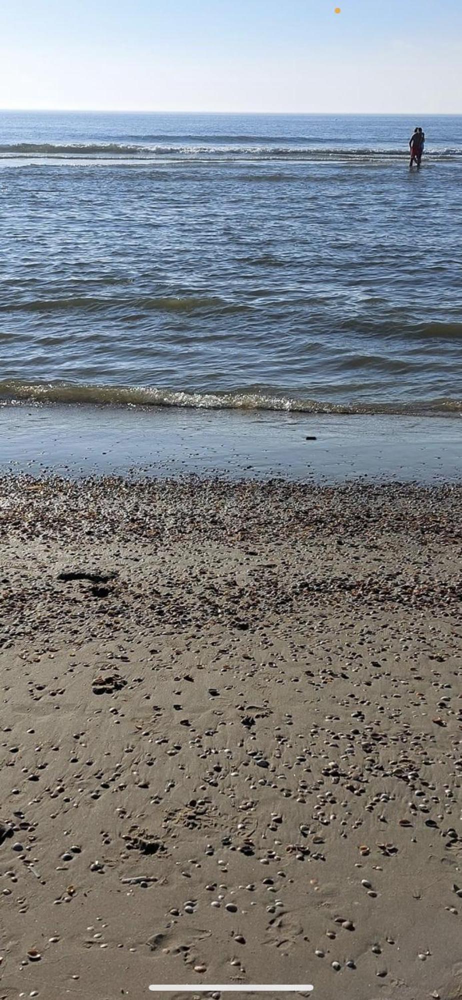 Vakantiehuisje Aan Zee Met Dakterras Rust En Strand 250 M Egmond aan Zee Exterior photo